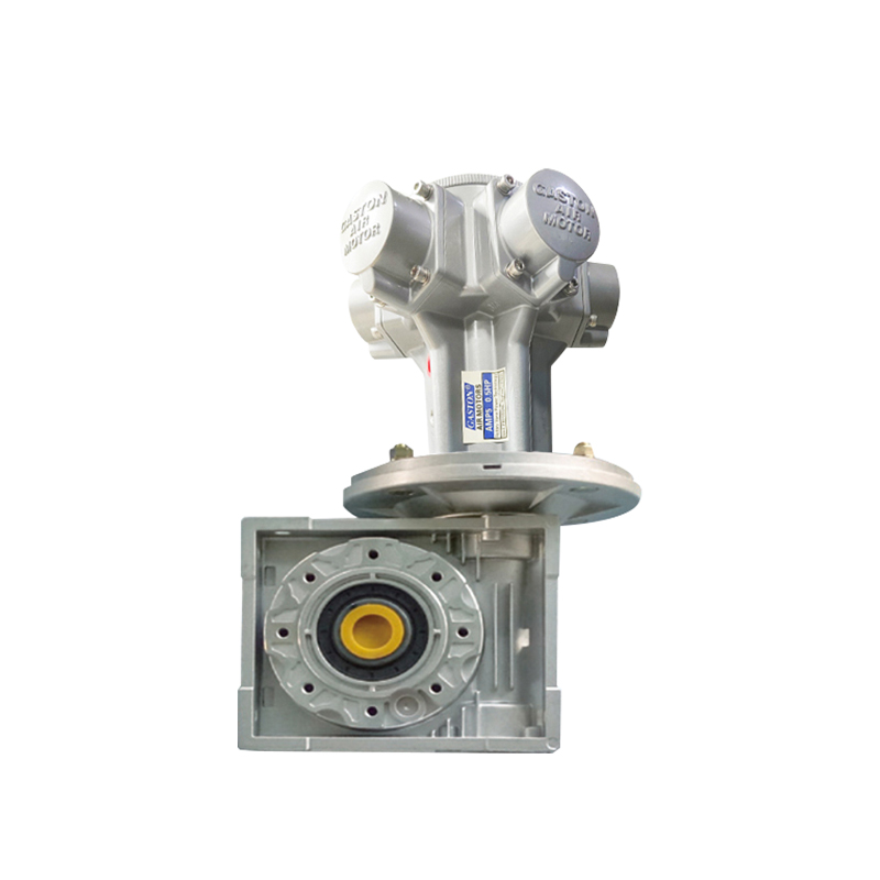 AMP5-RV Mataas na torque gear motor